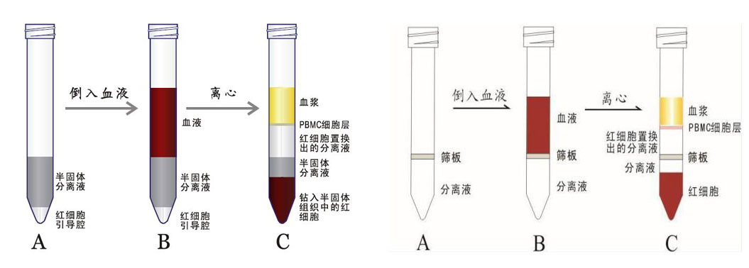 分離管合并.jpg